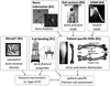 Picture shows the relation of different parts for patient-specific fracture risk assessment.