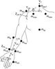 Diagram shows a upper extremity 3D inverse dynamics model.